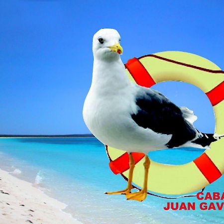 Cabanas Juan Gaviota Punta Choros Exterior foto