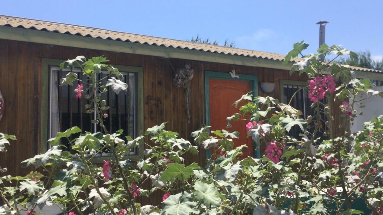Cabanas Juan Gaviota Punta Choros Exterior foto