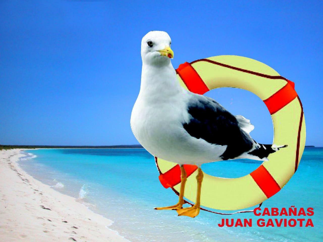 Cabanas Juan Gaviota Punta Choros Exterior foto