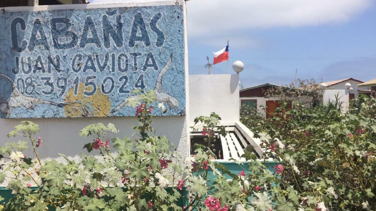 Cabanas Juan Gaviota Punta Choros Exterior foto