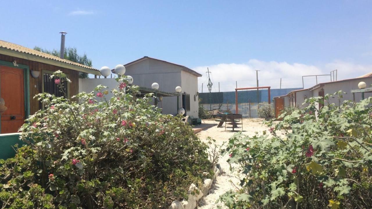 Cabanas Juan Gaviota Punta Choros Exterior foto