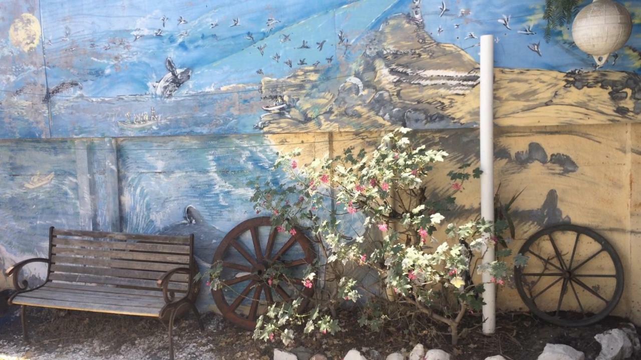 Cabanas Juan Gaviota Punta Choros Exterior foto