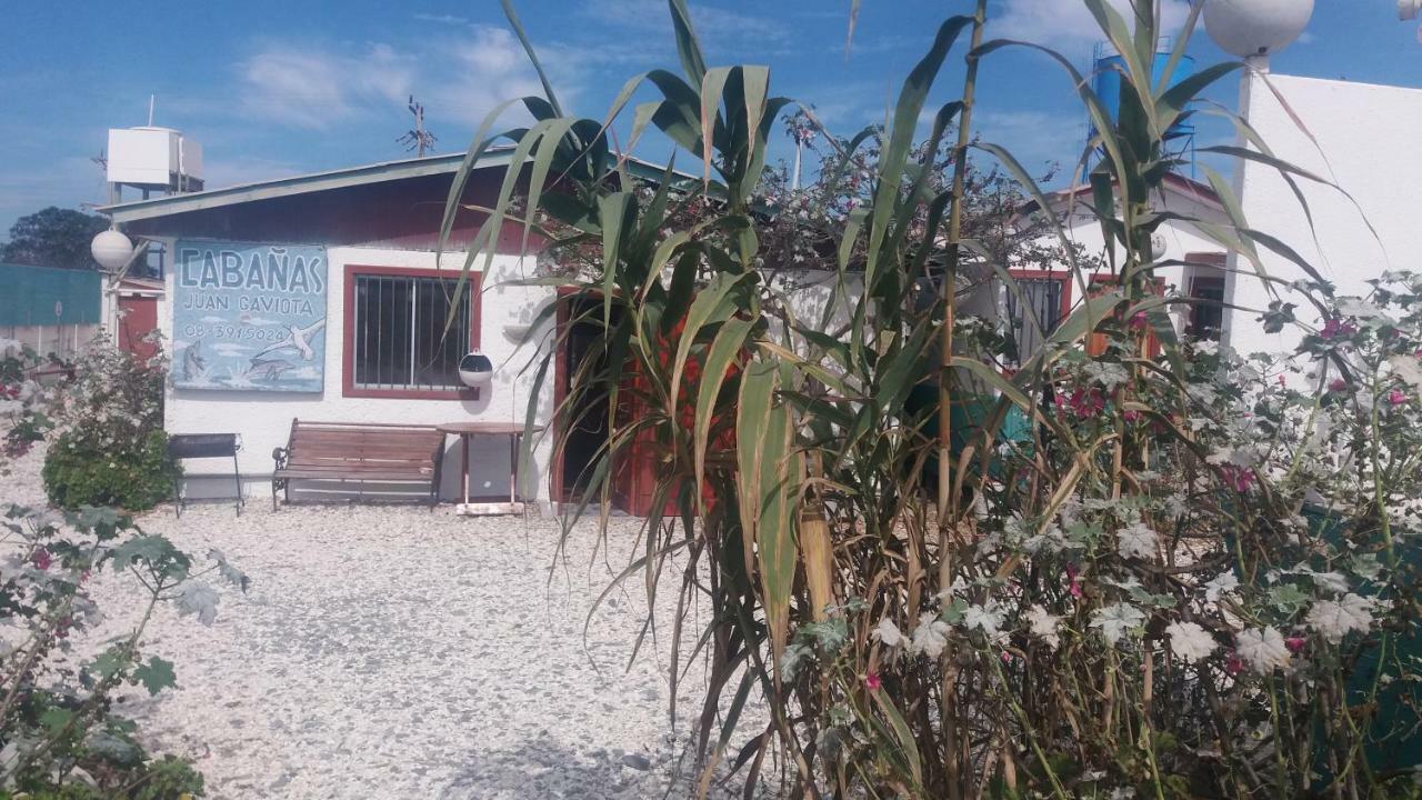 Cabanas Juan Gaviota Punta Choros Exterior foto