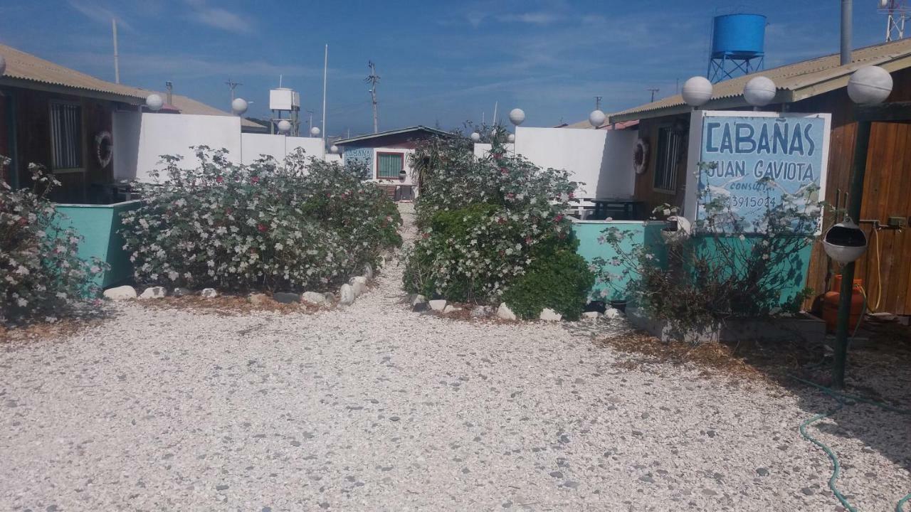Cabanas Juan Gaviota Punta Choros Exterior foto