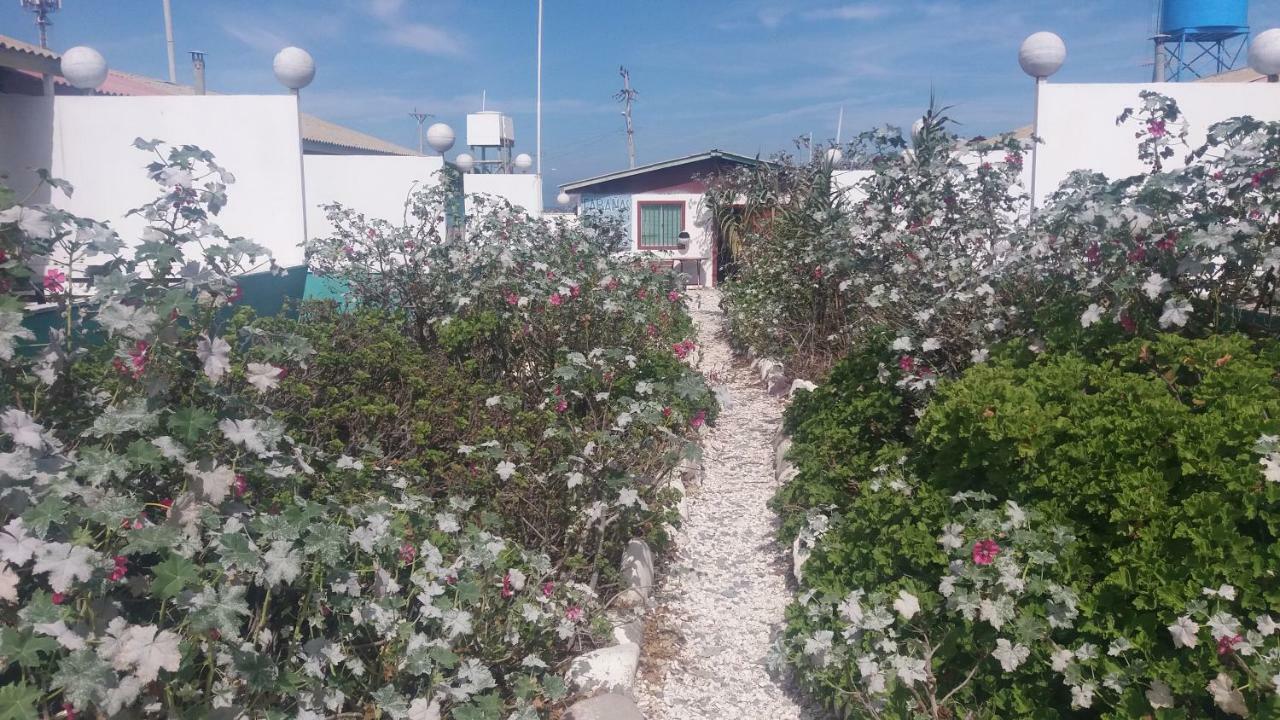 Cabanas Juan Gaviota Punta Choros Exterior foto