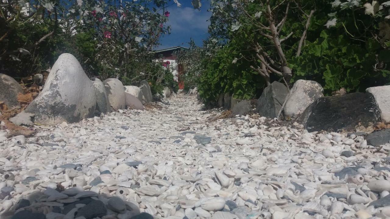 Cabanas Juan Gaviota Punta Choros Exterior foto