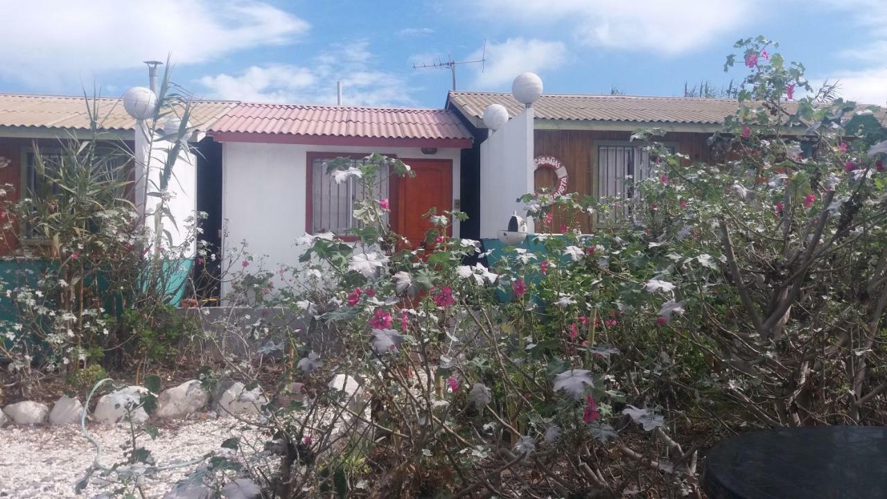 Cabanas Juan Gaviota Punta Choros Exterior foto