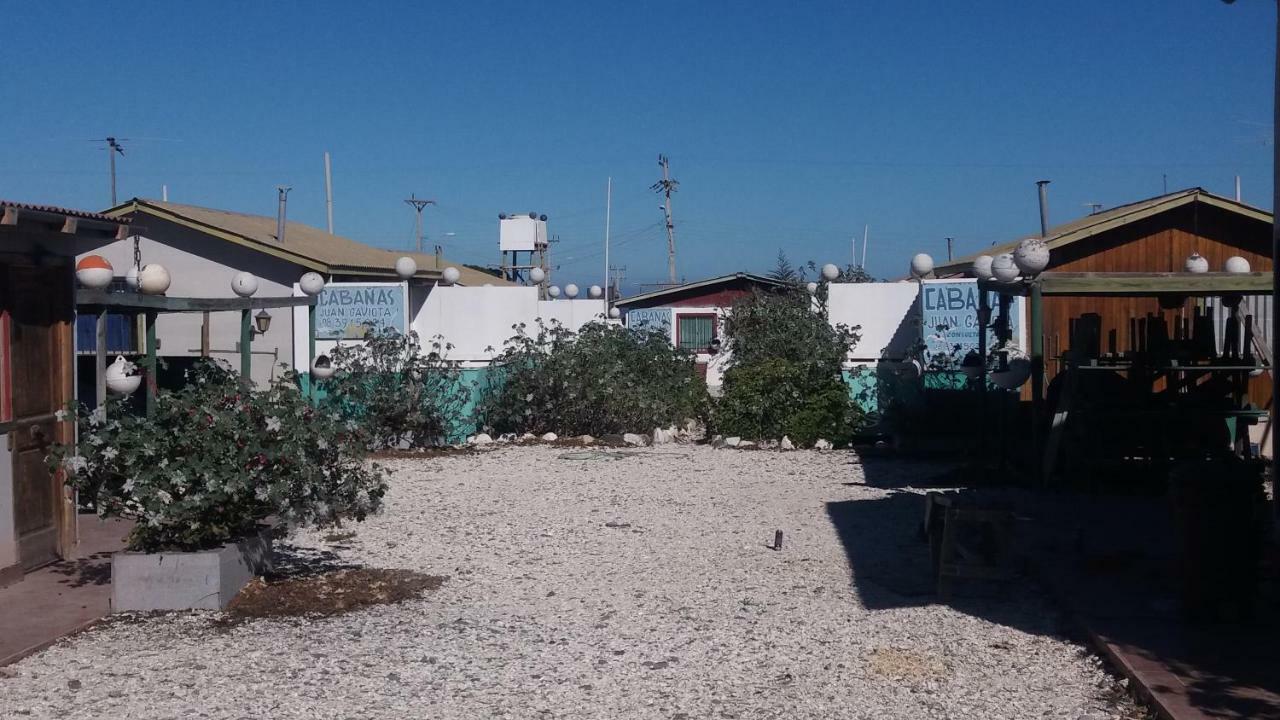 Cabanas Juan Gaviota Punta Choros Exterior foto